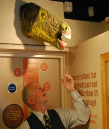 Museum display - Iguanodon Head