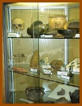 Museum display