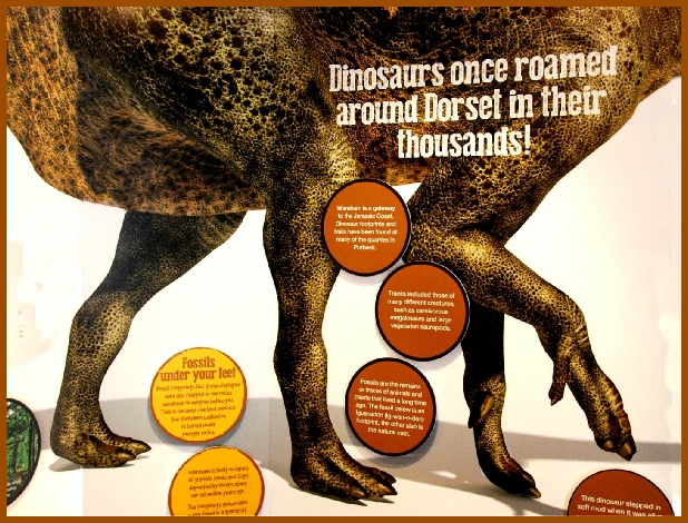 Dinosaurs - graphic
