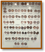 Roman Coins